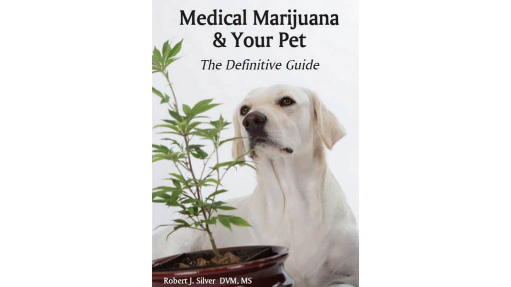 Marihuana medicinal y su mascota