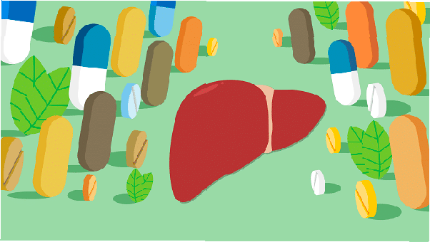 Ilustración de las drogas y el hígado humano